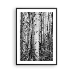 Plagát v čiernom ráme - Čierne a biele brezy tvoria symetrický les - 50x70cm - Brezová kolonáda - Moderná nástenná dekorácia do obývacej izby a spálne ARTTOR