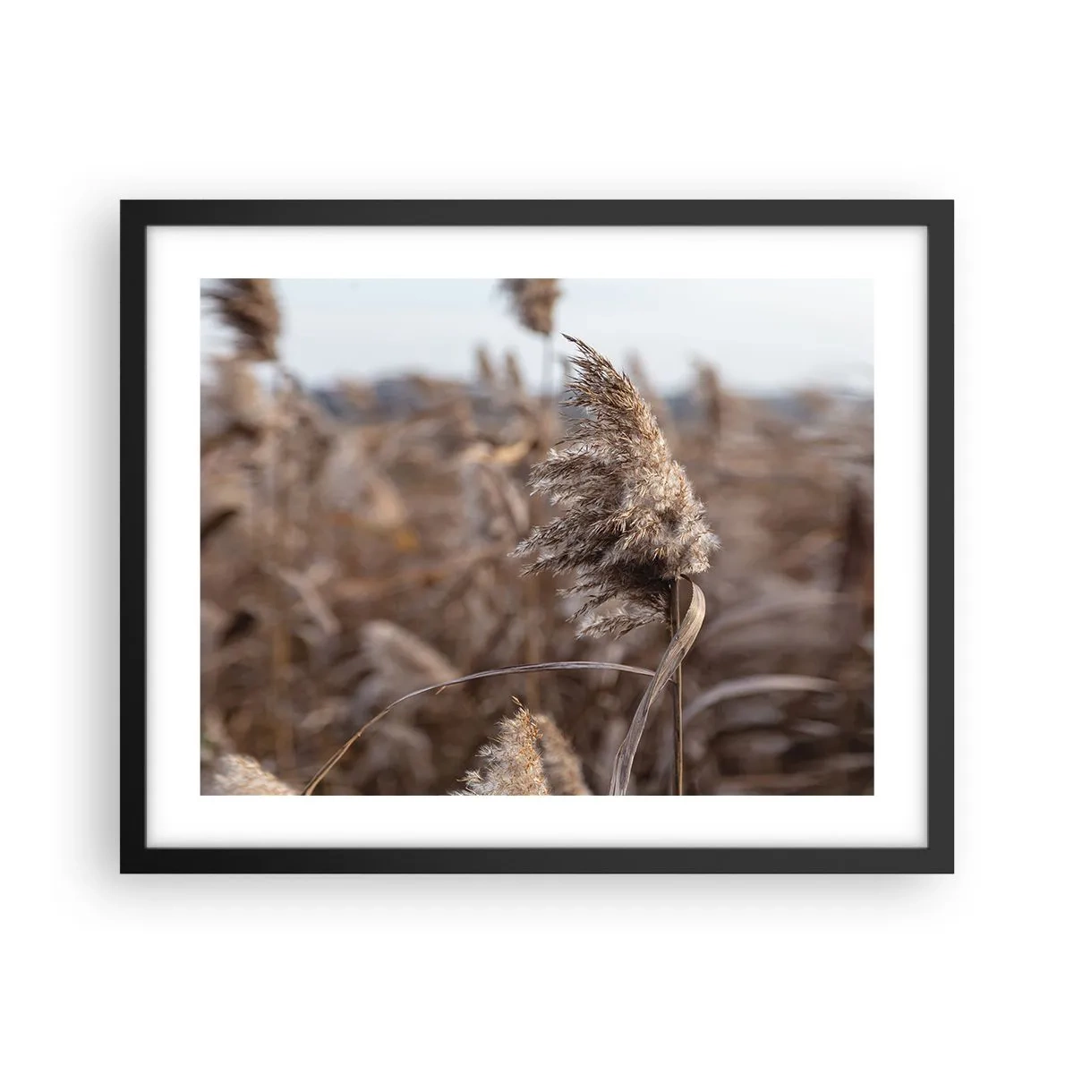 Plagát v čiernom ráme - Čas odletieť s vetrom - 50x40 cm