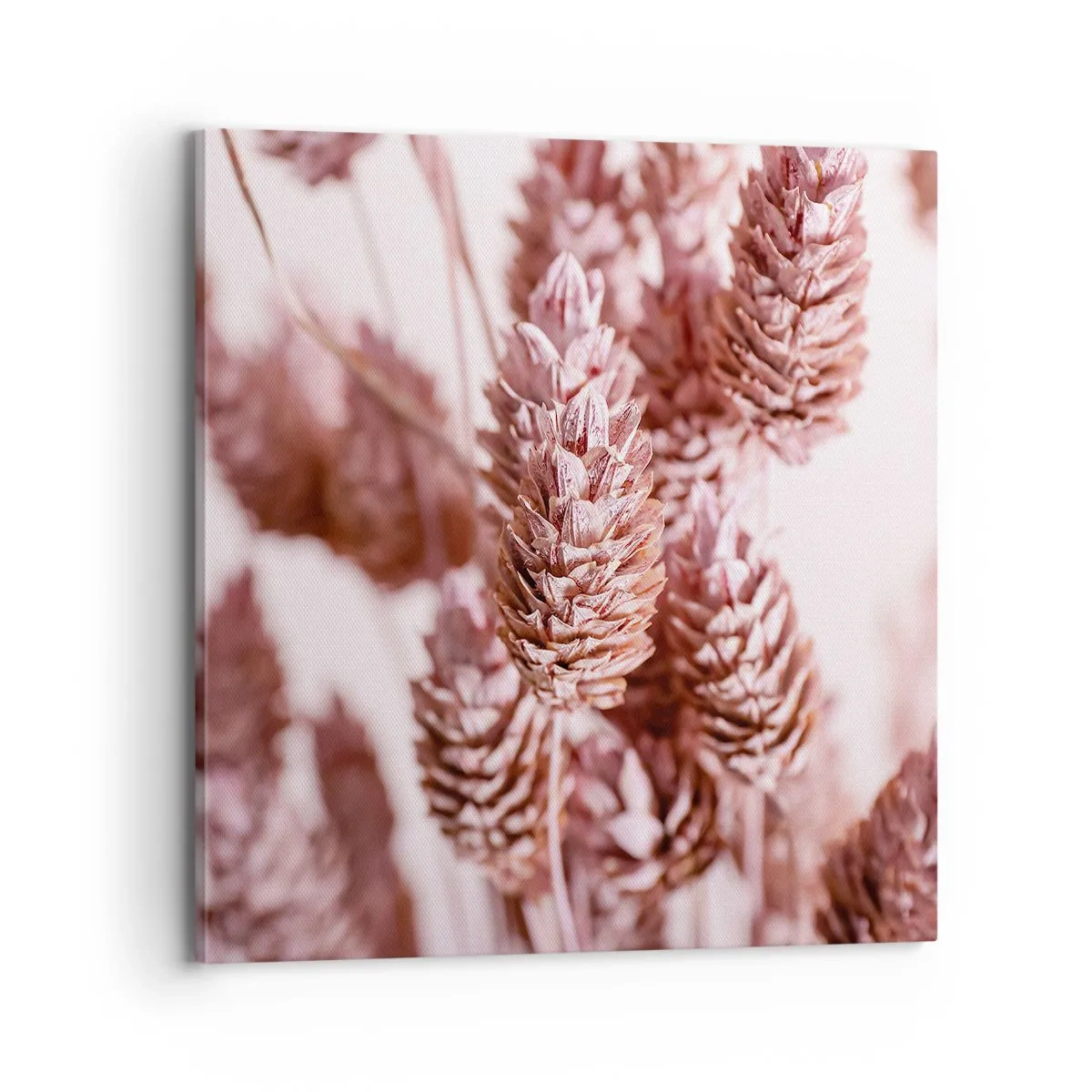 Obraz na plátne - Zdanlivo nenápadné - 70x70 cm