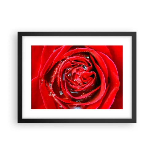 Plagát v čiernom ráme - V kvapkách rosy - 40x30 cm