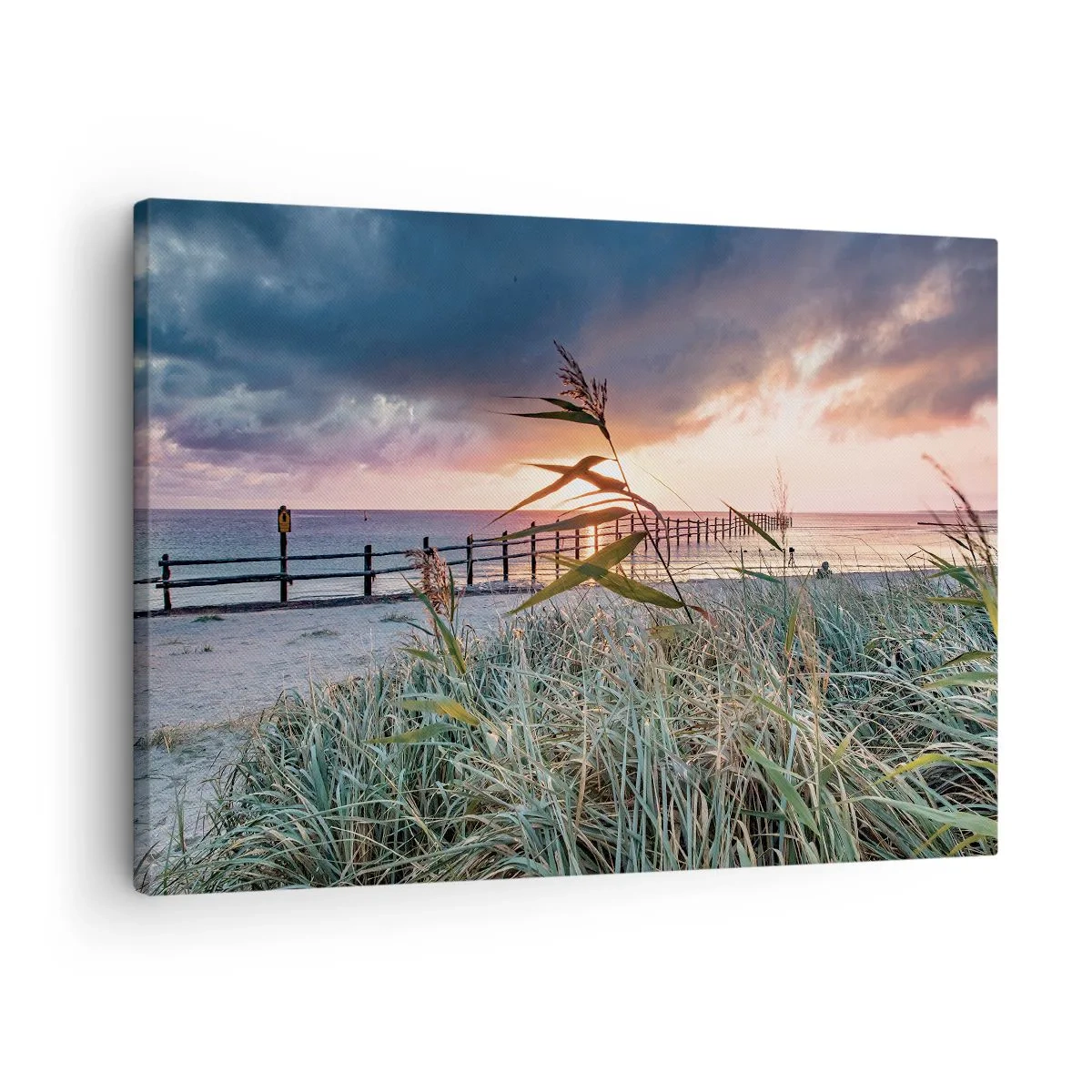 Obraz na plátne - Pláž pri západe slnka s trávami v popredí - 70x50cm - Neodviate vetrom - Moderná nástenná dekorácia do obývacej izby a spálne ARTTOR