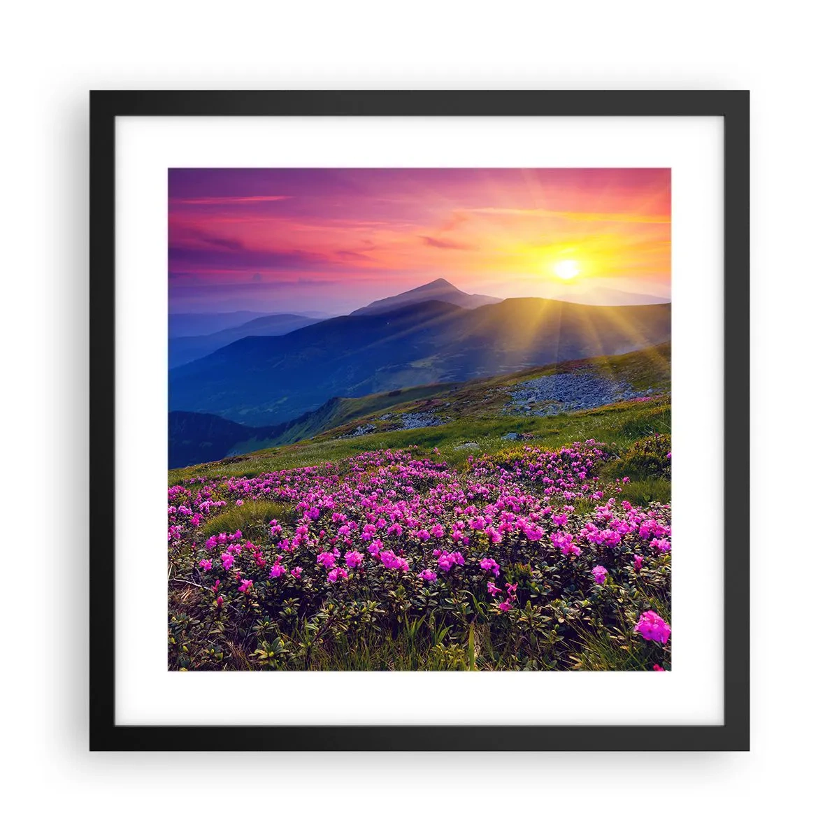 Plagát v čiernom ráme - …A okolo vonia kosodrevina a voňajú byliny - 40x40 cm