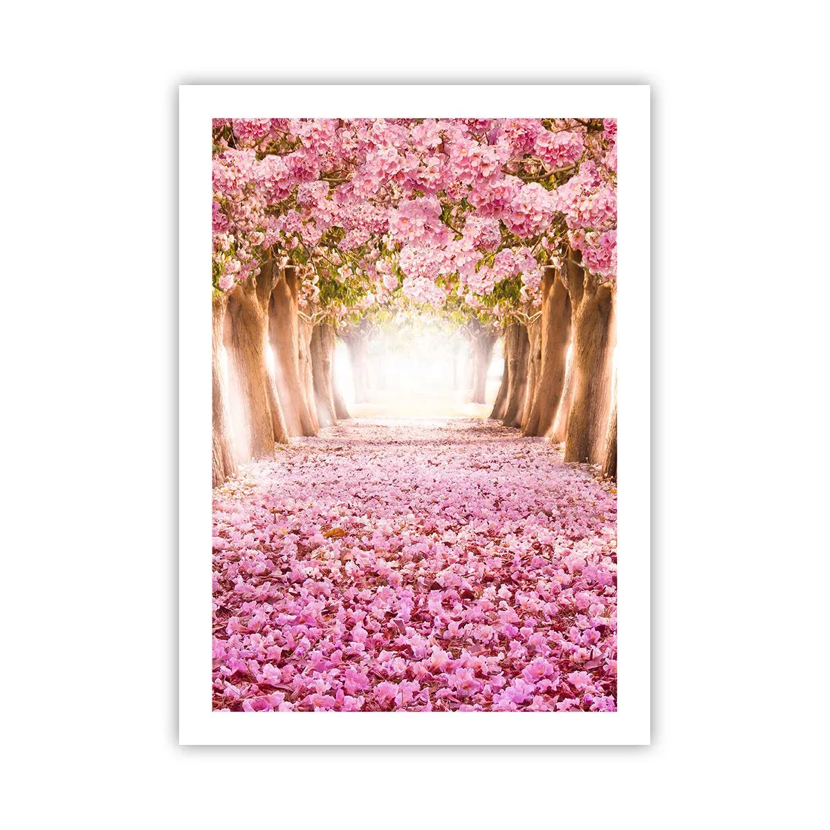 Plagát - Cesta do raja - 50x70 cm