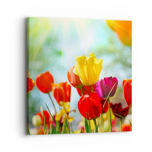 Obraz na plátne - Všetky farby slnka - 30x30 cm