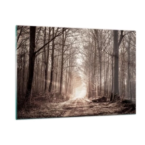 Obraz na skle - Lesná katedrála - 120x80 cm