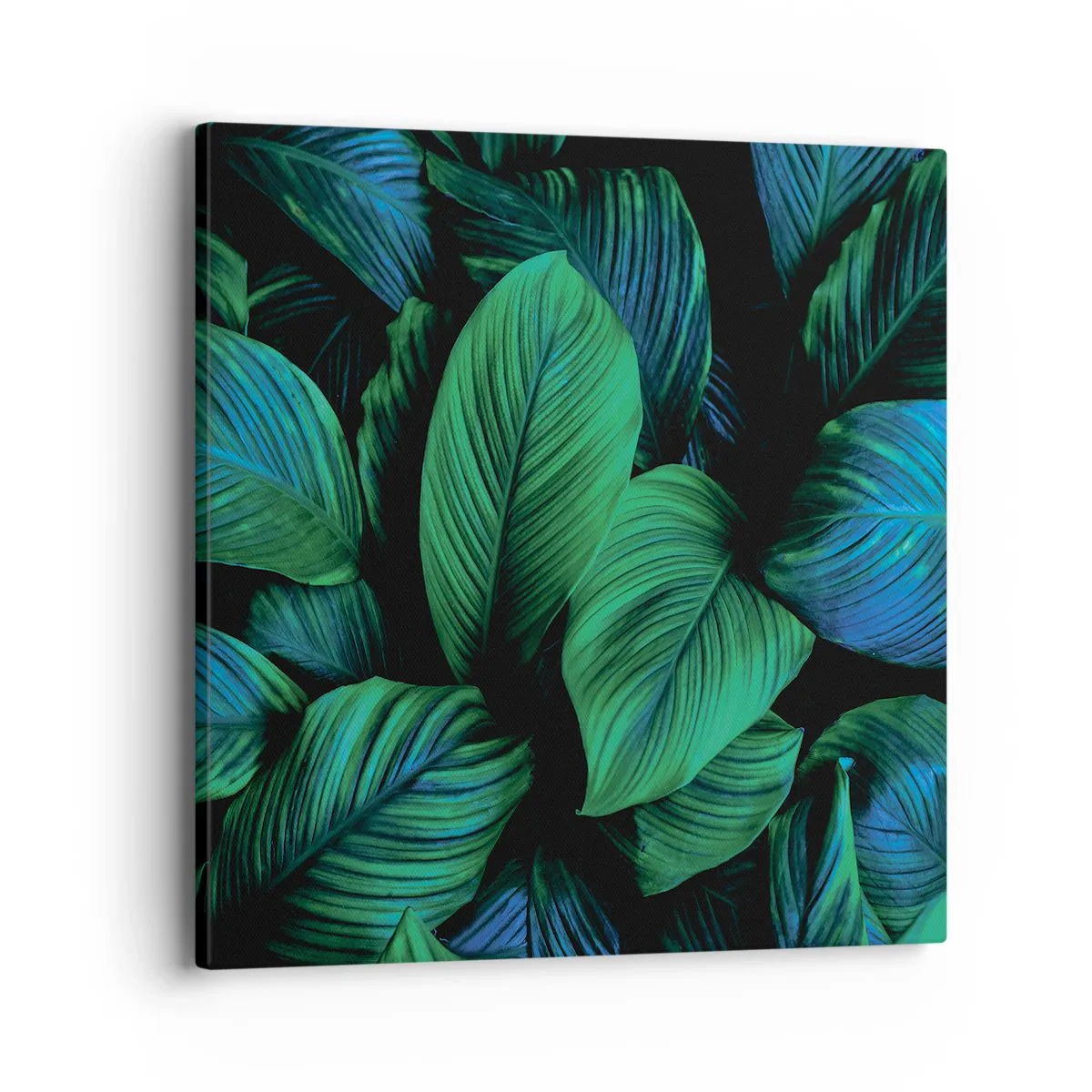 Obraz na plátne - V zelenom dave - 40x40 cm