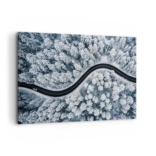 Obraz na plátne - Zimným lesom - 120x80 cm