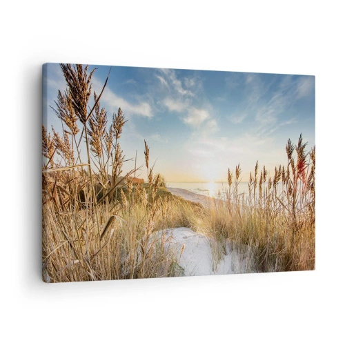 Obraz na plátne - Malebná pláž s trávou a zapadajúcim slnkom - 70x50cm - Severná pláž - Moderná nástenná dekorácia do obývacej izby a spálne ARTTOR