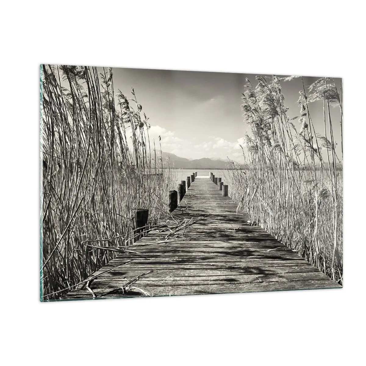 Obraz na skle - V ústraní tráv - 120x80 cm