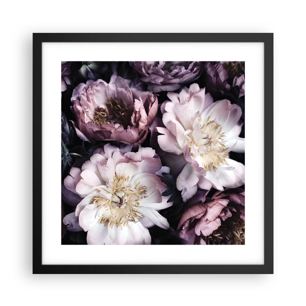 Plagát v čiernom ráme - Kytica v starom štýle - 40x40 cm
