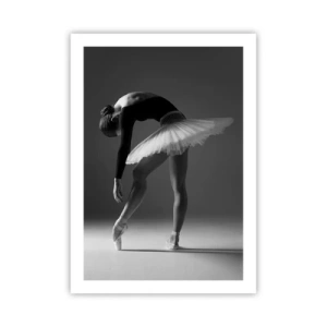 Plagát - Bella ballerina - 50x70 cm