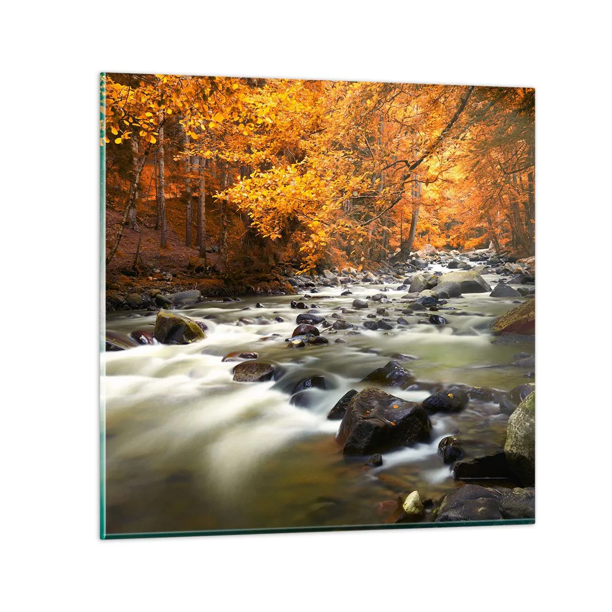 Obraz na skle - Potok v zlatom lese - 40x40 cm