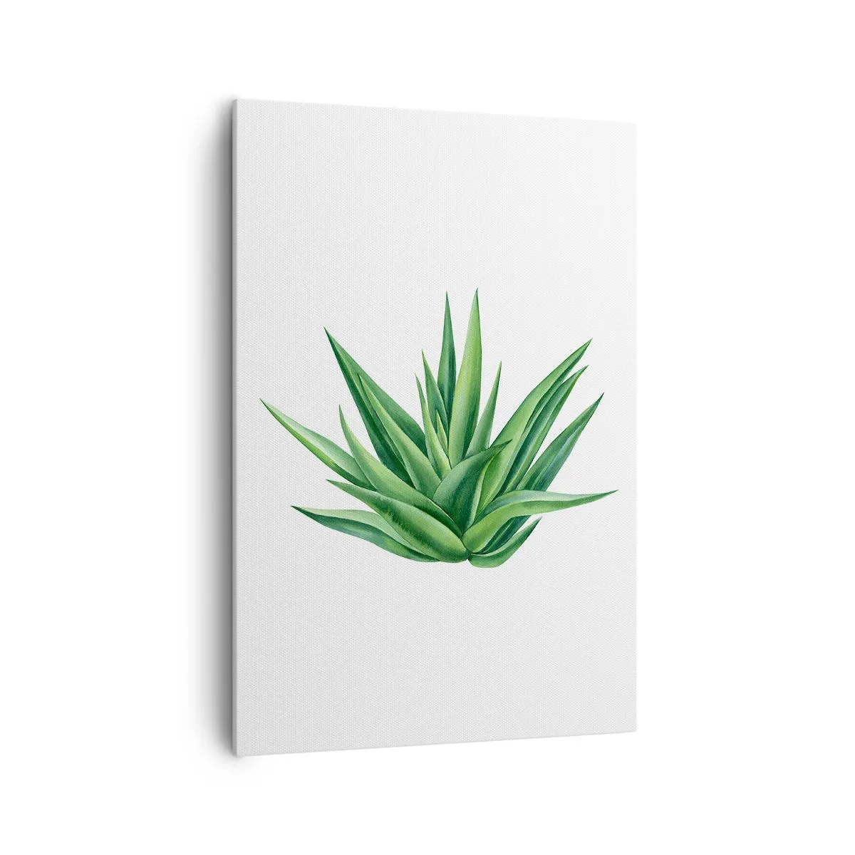 Obraz na plátne - Zelená – sila – život - 70x100 cm