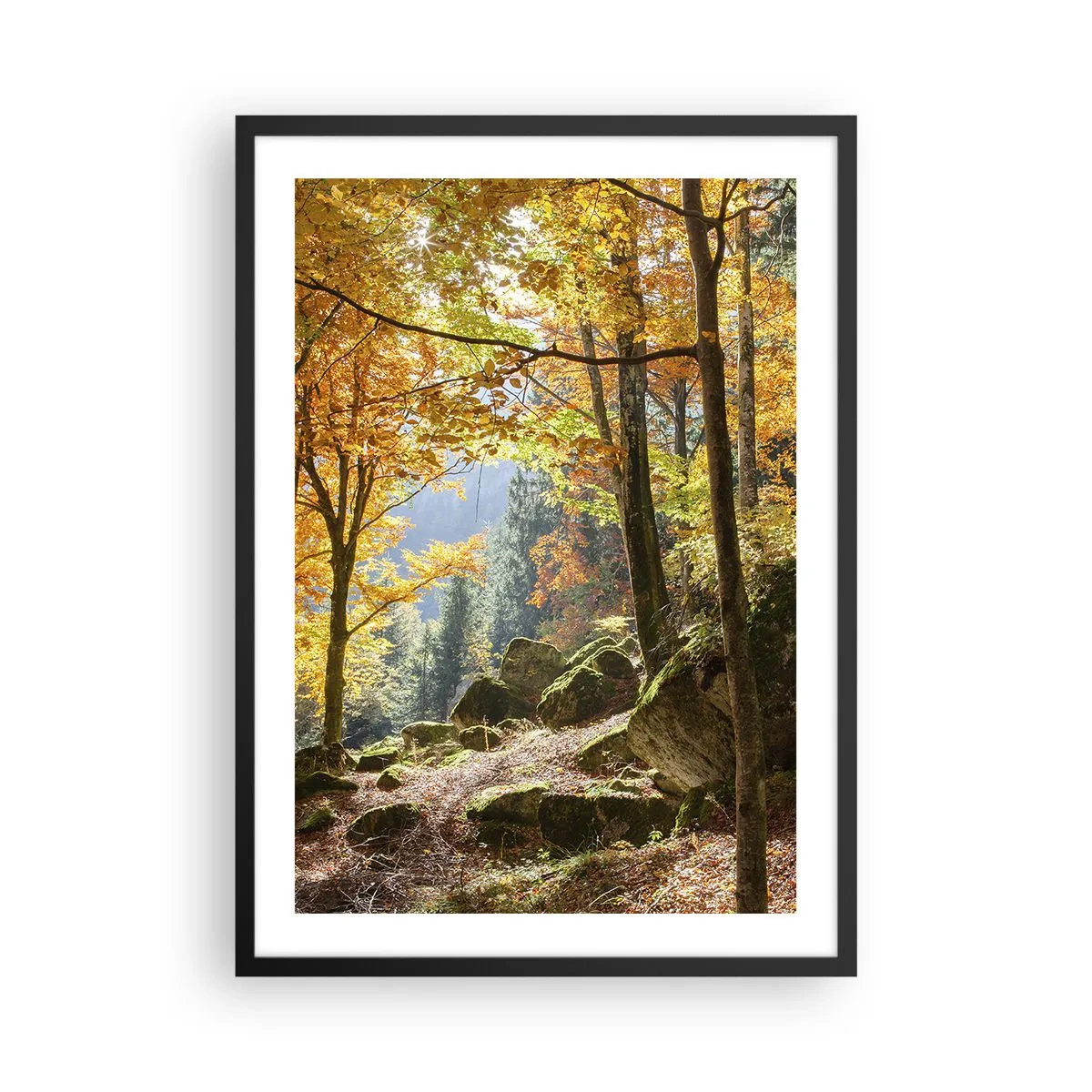 Plagát v čiernom ráme - Jesenný les so slnečnými lúčmi a machom pokrytými kameňmi - 50x70cm - Čas na odpočinok - Moderná nástenná dekorácia do obývacej izby a spálne ARTTOR