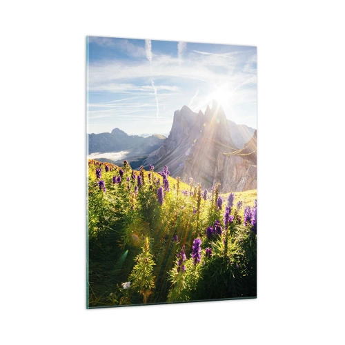 Obraz na skle - Tajomný život bylín - 50x70 cm