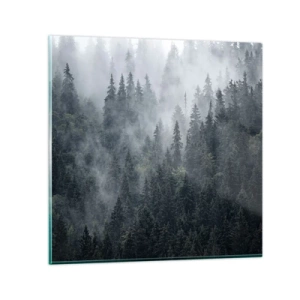 Obraz na skle - Lesné svitania - 60x60 cm