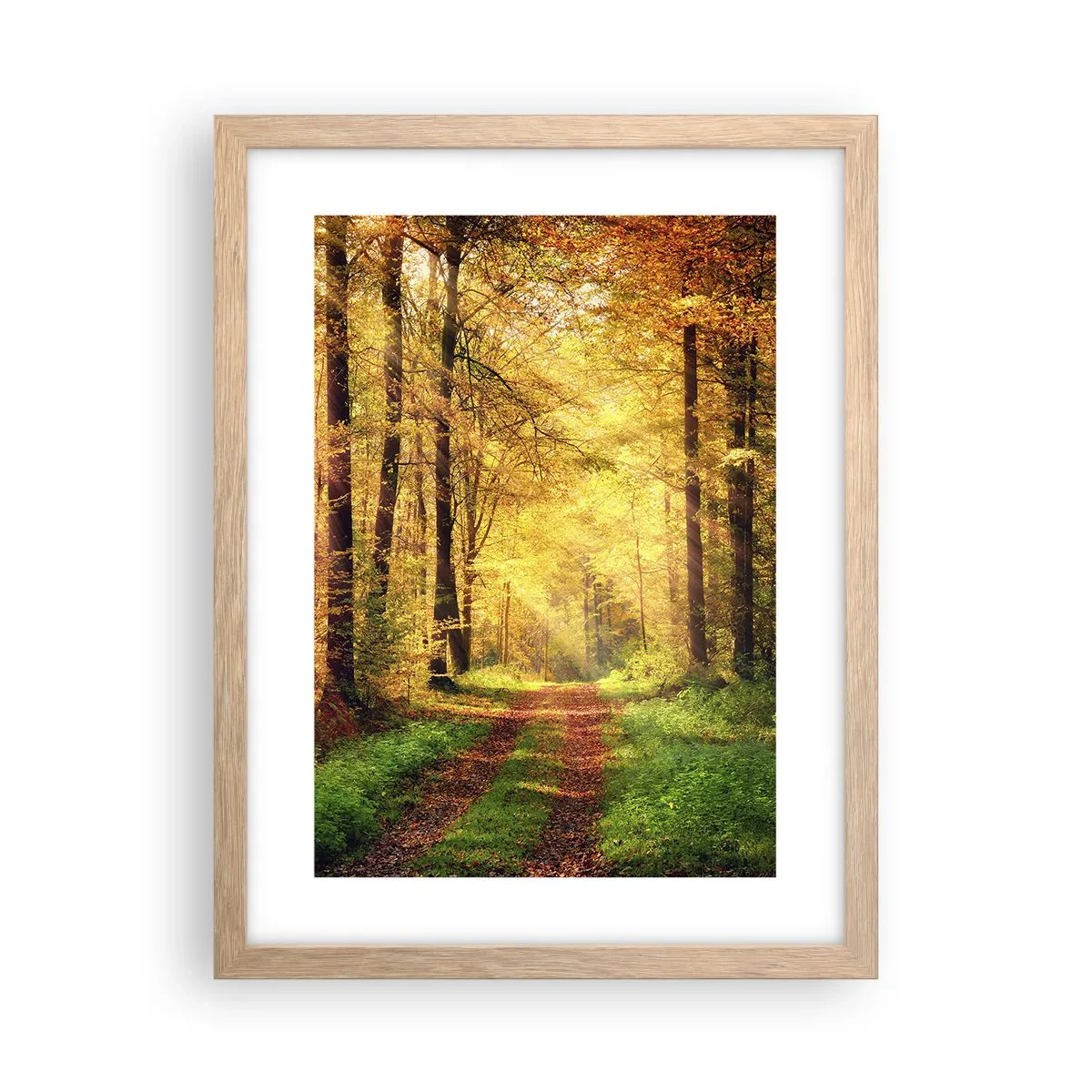 Plagát v ráme zo svetlého duba - Lesno-zlaté ticho - 30x40 cm