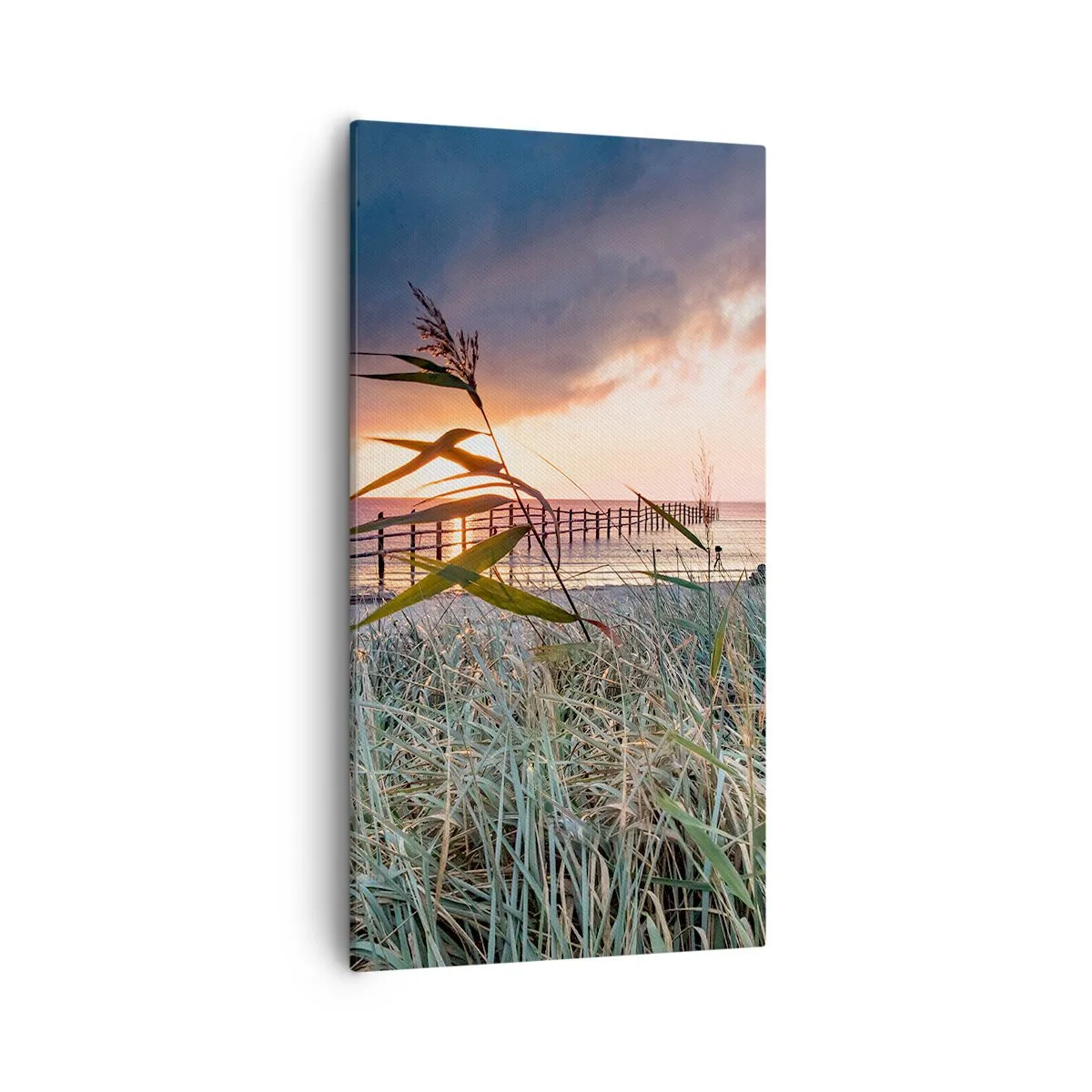 Obraz na plátne - Neodviate vetrom - 55x100 cm