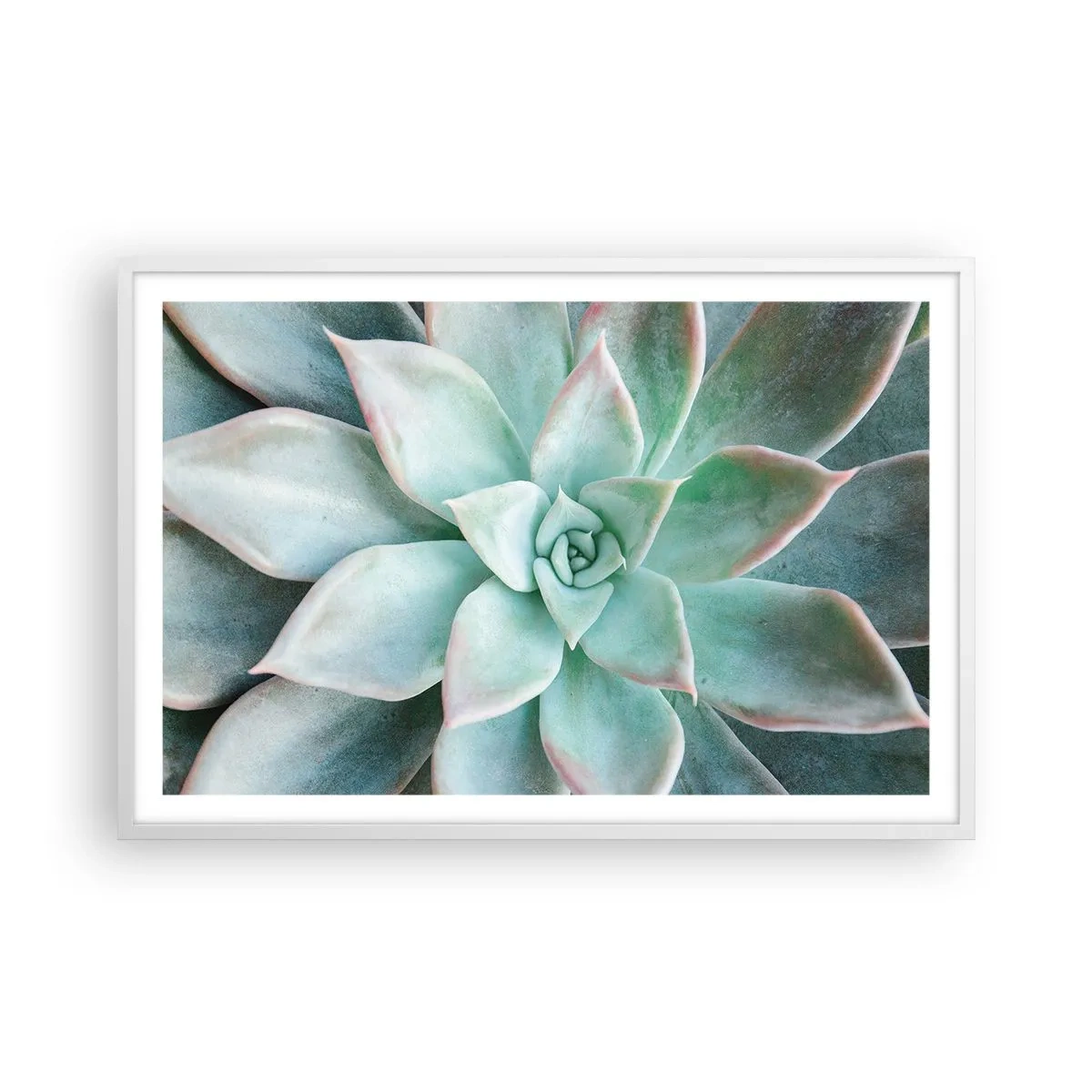 Plagát v bielom ráme - Srdce púšte - 91x61 cm