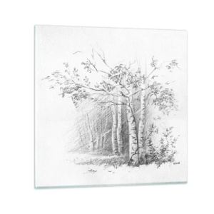 Obraz na skle - Svetlo brezového lesa - 60x60 cm