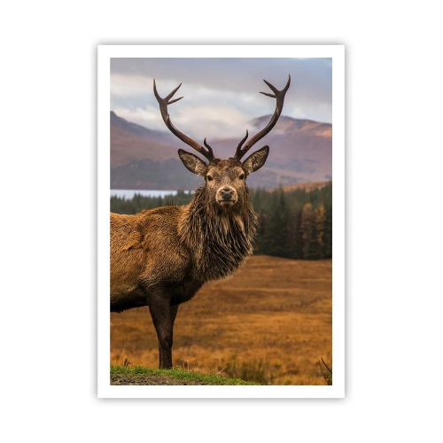 Plagát - Majestát prírody - 70x100 cm