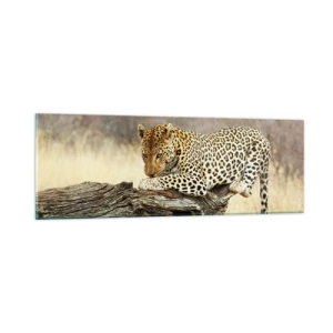 Obraz na skle - Chodím vlastnými cestami - 90x30 cm