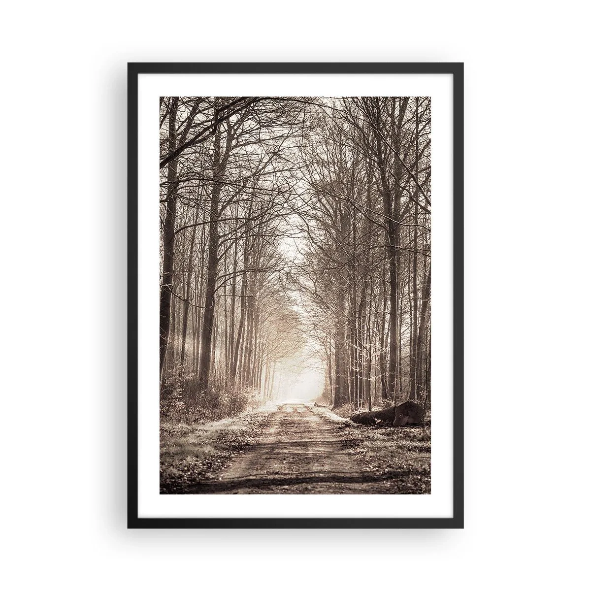 Plagát v čiernom ráme - Lesný chodník v jesenných sépiových tónoch - 50x70cm - Lesná katedrála - Moderná nástenná dekorácia do obývacej izby a spálne ARTTOR