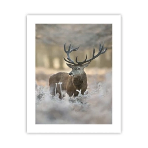 Plagát - Svieže ráno - 40x50 cm