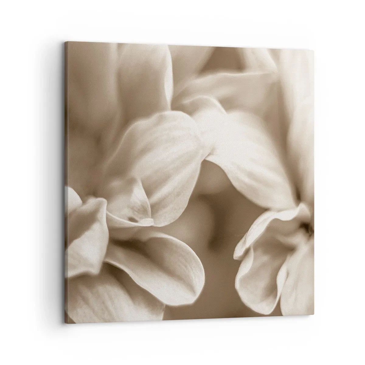 Obraz na plátne - Nežné ako úsmev - 50x50 cm