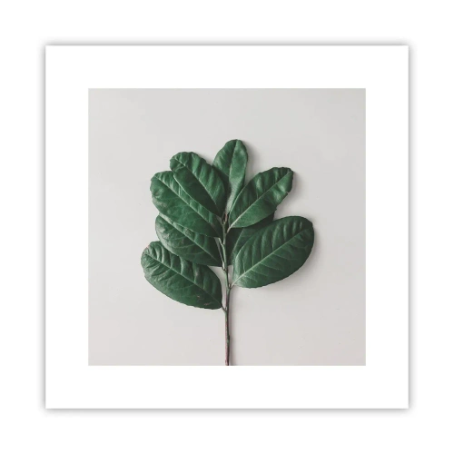 Plagát - Kresba samotnej prírody - 30x30 cm