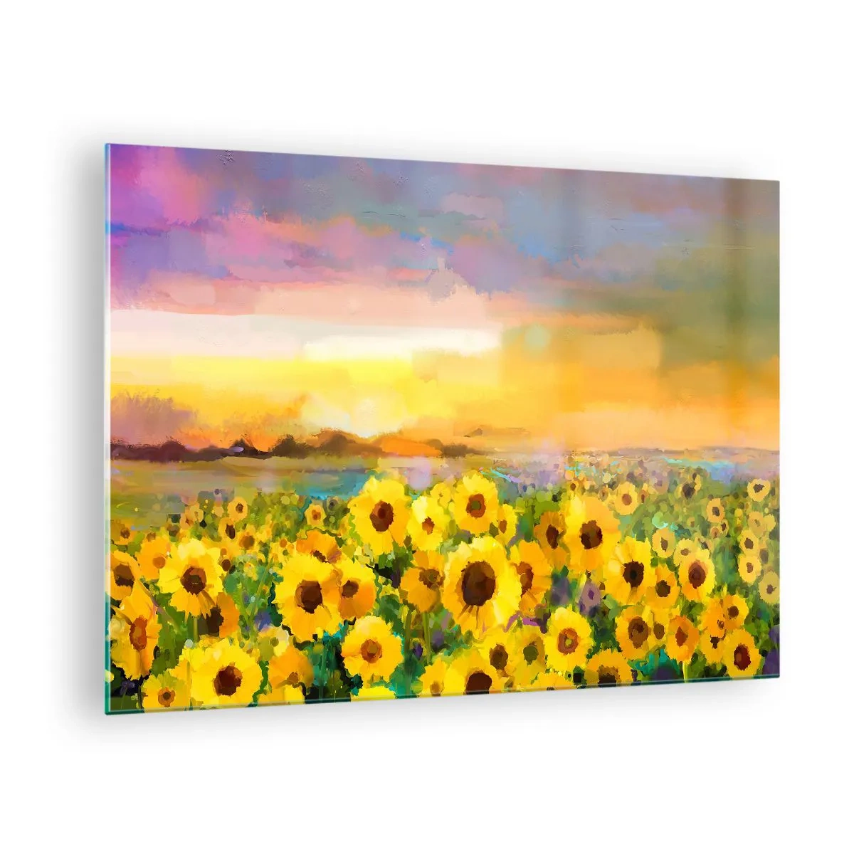 Obraz na skle - Pole slnečníc vo svetle zapadajúceho slnka - 70x50cm - Samotné slnko zostúpilo na zem - Moderná nástenná dekorácia do obývacej izby a spálne ARTTOR
