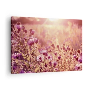 Obraz na plátne - Lúka vo svetle zapadajúceho slnka - 70x50cm - Než skončí leto - Moderná nástenná dekorácia do obývacej izby a spálne ARTTOR