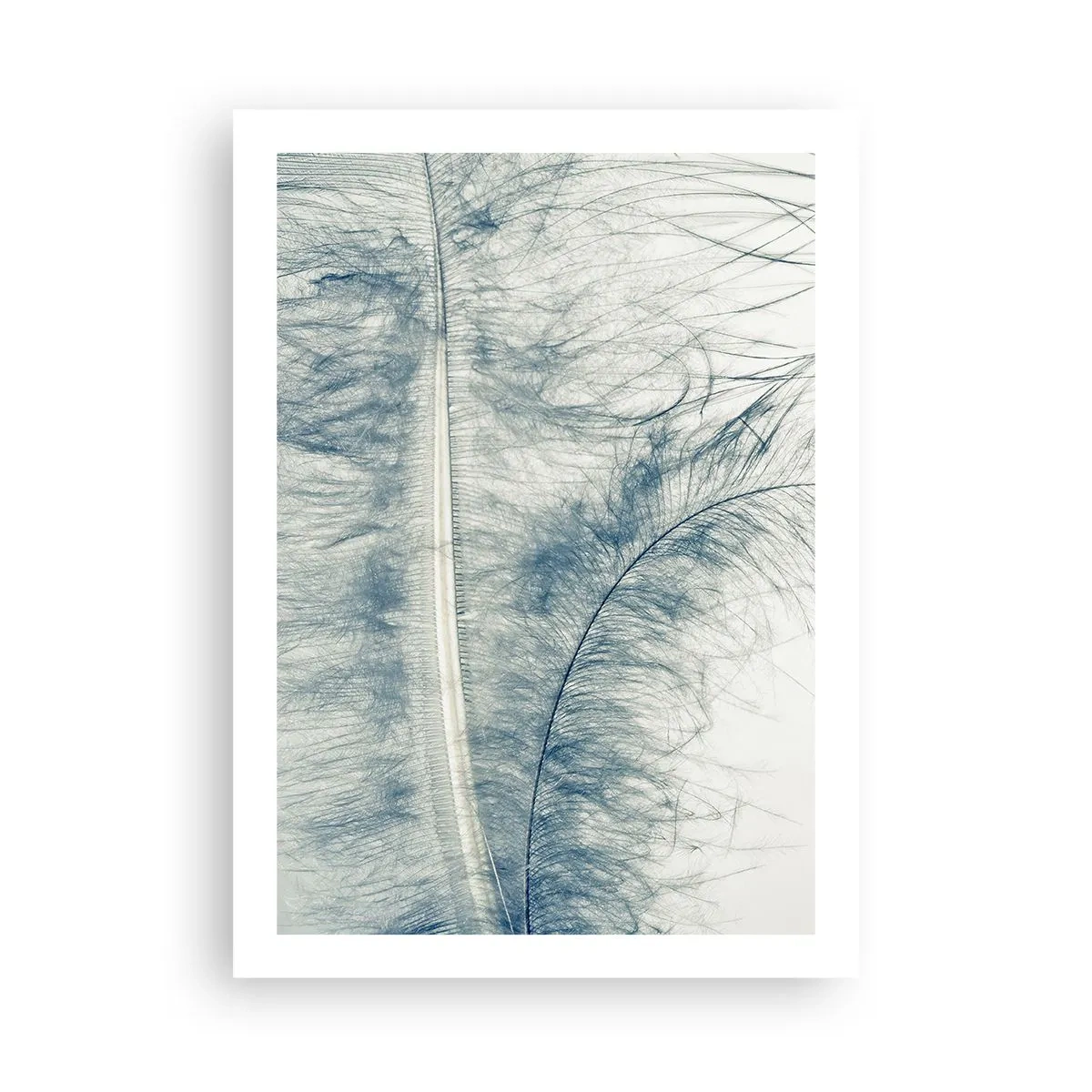 Plagát - Šepot prírody - 50x70 cm