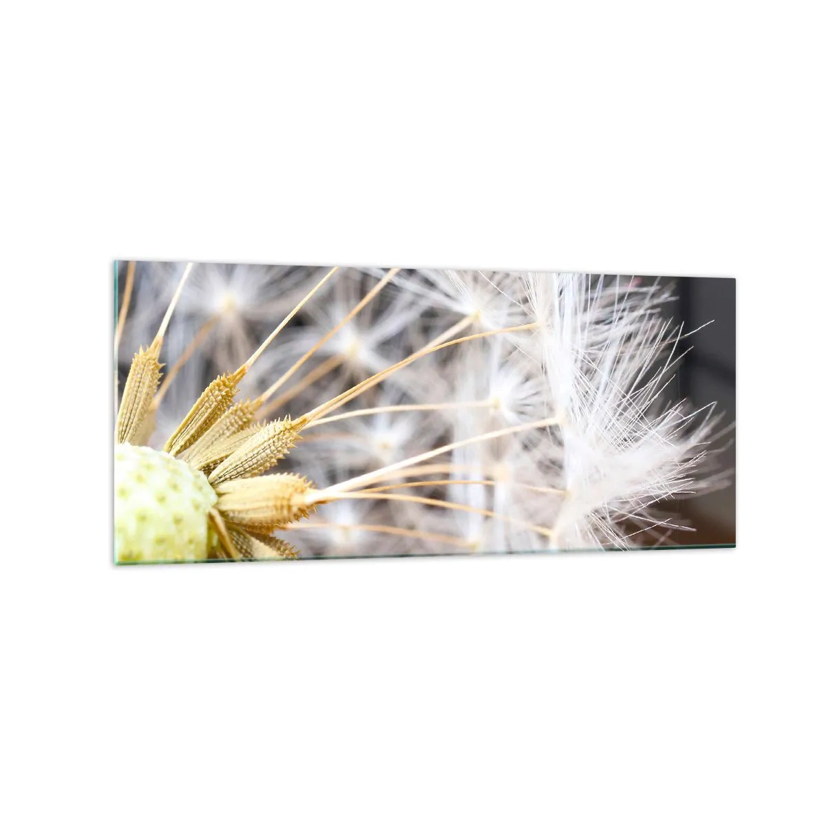 Obraz na skle - Tesne pred odletom - 120x50 cm