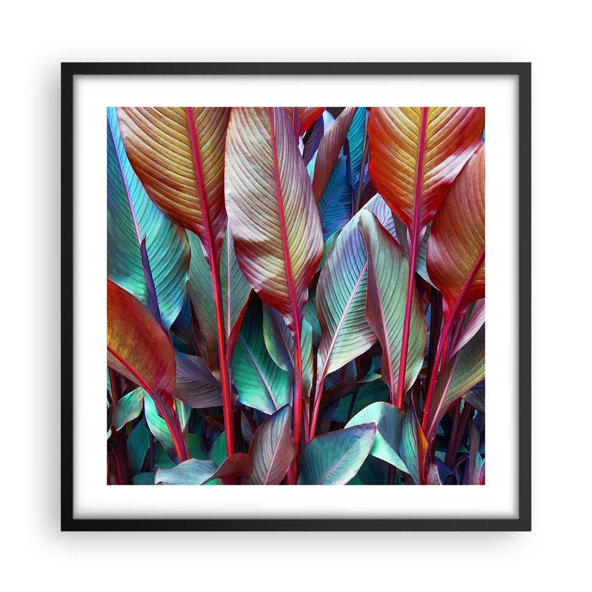 Plagát v čiernom ráme - Farebná húština - 50x50 cm