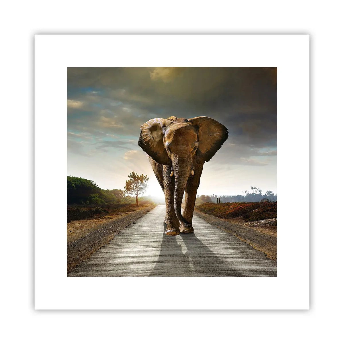 Plagát - A vôbec nie v sklade porcelánu - 30x30 cm