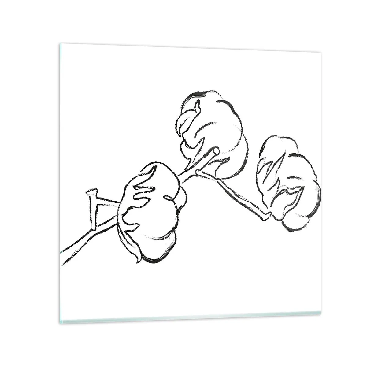 Obraz na skle - Bavlnené páperie - 70x70 cm