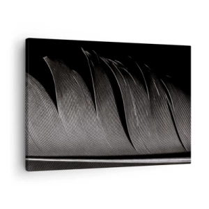 Obraz na plátne - Čiernobiela textúra peria v minimalistickom štýle - 70x50cm - Perie – nádherná konštrukcia - Moderná nástenná dekorácia do obývacej izby a spálne ARTTOR