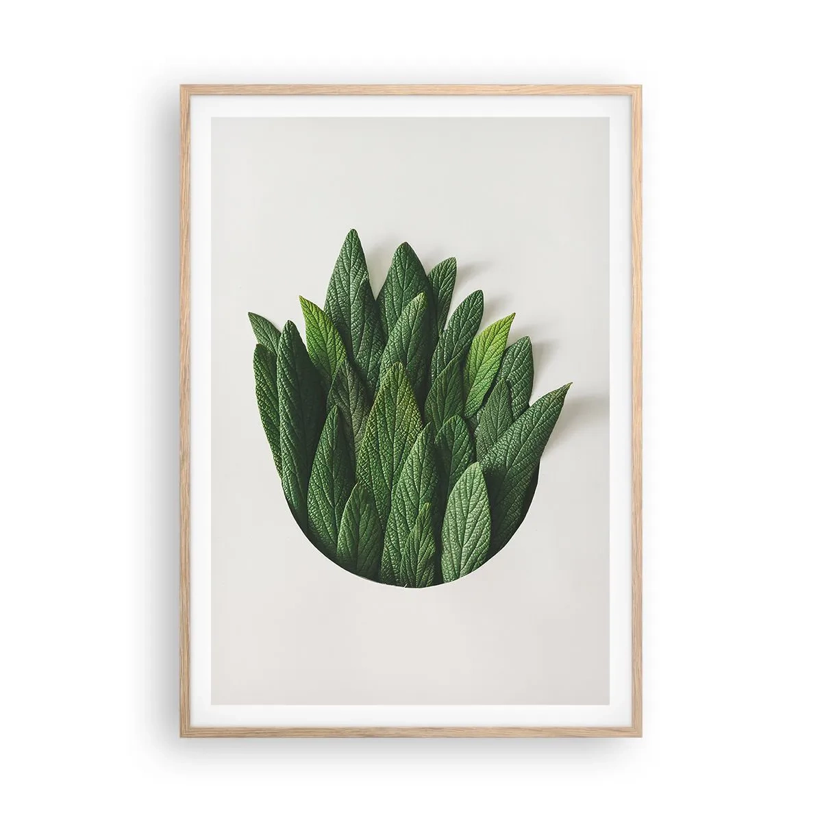 Plagát v ráme zo svetlého duba - Neukojiteľná zvedavosť - 70x100 cm