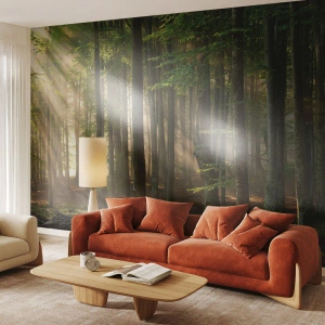 Fototapeta Premium Canvas - Rozžiarený v jarnom ráne - Krajina, les, Park - 250x175 cm