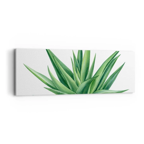 Obraz na plátne - Zelená – sila – život - 90x30 cm