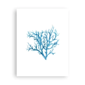Plagát - Morský filigrán - 30x40 cm