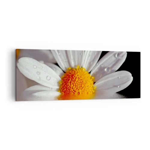 Obraz na plátne - Vychádzajúce slnko sedmokrásky - 140x50 cm