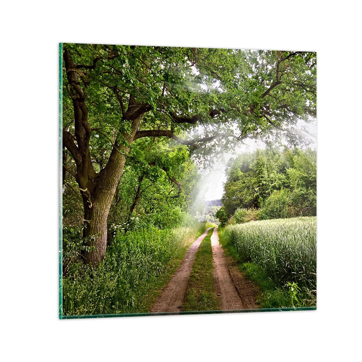 Obraz na skle - Et in Arcadia ego - 60x60 cm