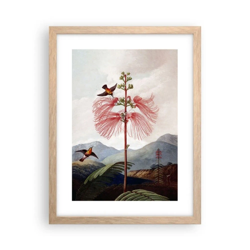 Plagát v ráme zo svetlého duba - V tropickom raji - 30x40 cm