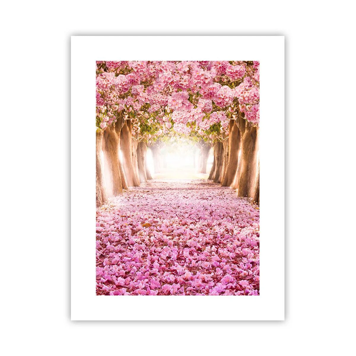 Plagát - Cesta do raja - 30x40 cm