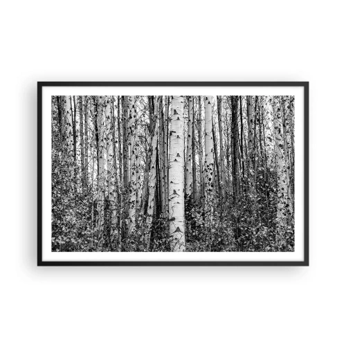Plagát v čiernom ráme - Brezová kolonáda - 91x61 cm