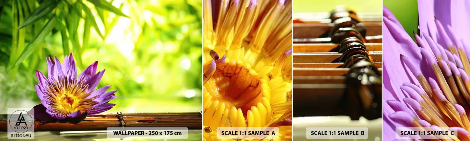 Vzorka Fototapeta Standard Eco - Na ázijskom slnku - Kvetina, lotosový kvet, Bambus - 100x30 cm