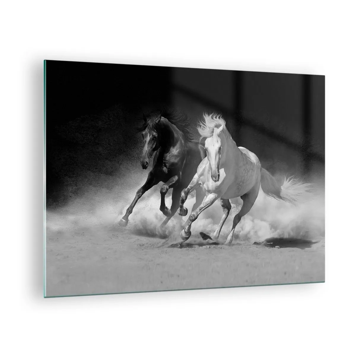 Obraz na skle - Bežiace kone v čiernej a bielej farbe - 70x50cm - Cval slobody - Moderná nástenná dekorácia do obývacej izby a spálne ARTTOR