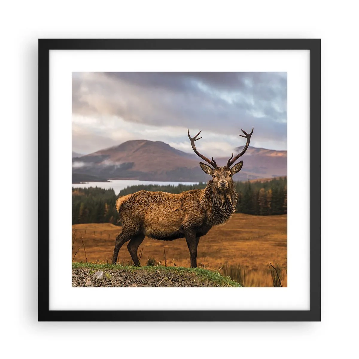 Plagát v čiernom ráme - Majestát prírody - 40x40 cm